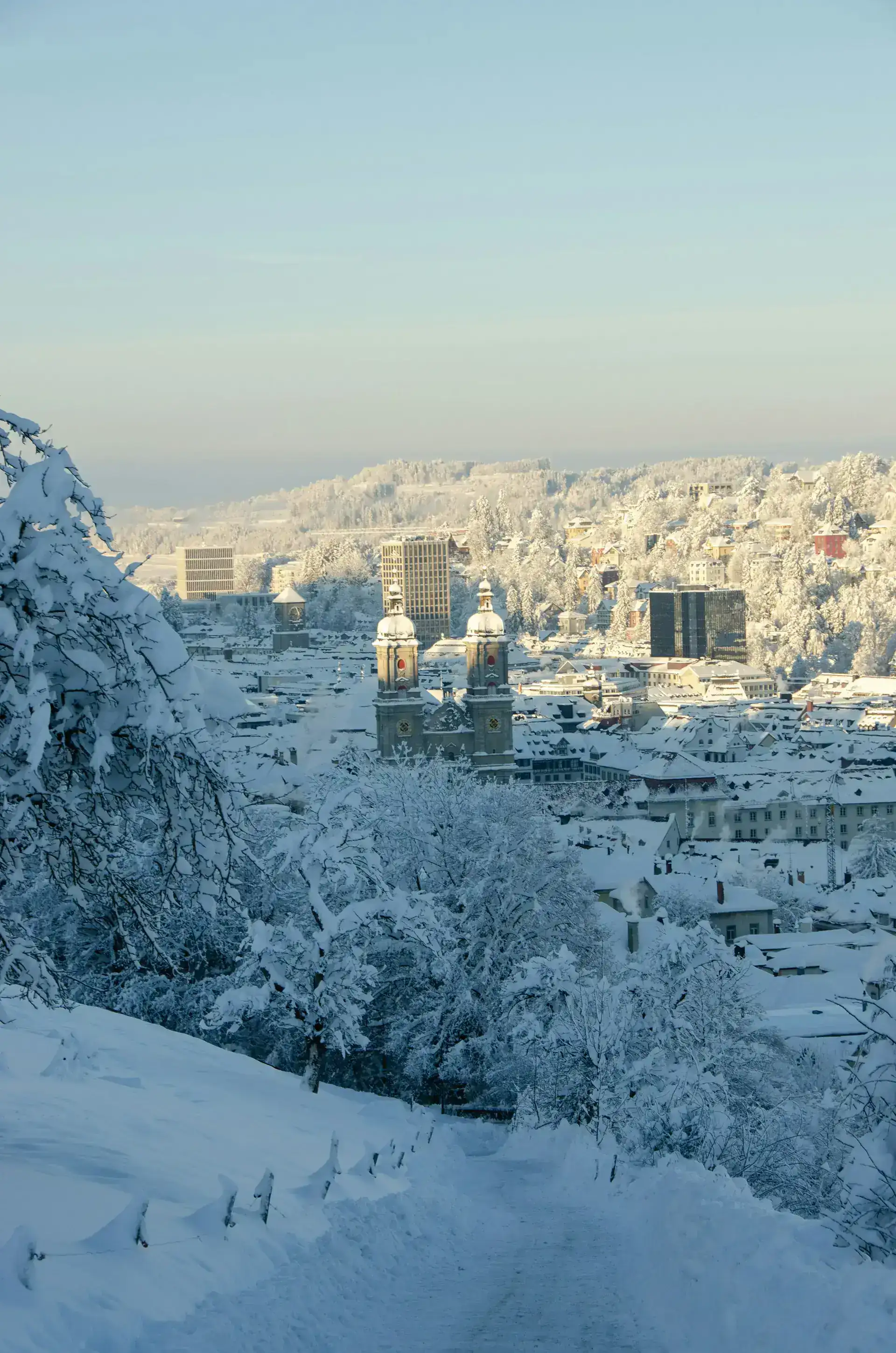 Premium Webdesign für St. Gallen